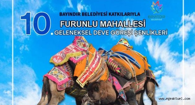 Bayındır'da Furunlu Deve Güreşi etkinliği