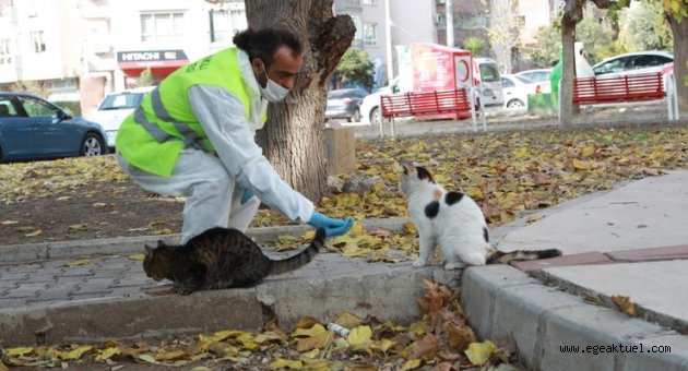 Bayraklı Belediyesi, sokağa çıkma kısıtlamasında da can dostları unutmadı