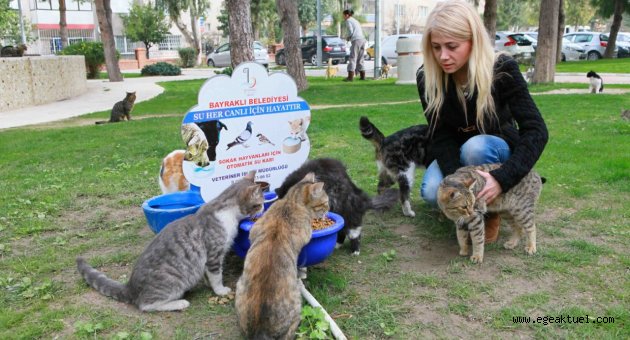 Bayraklı’da can dostlara özel ilgi