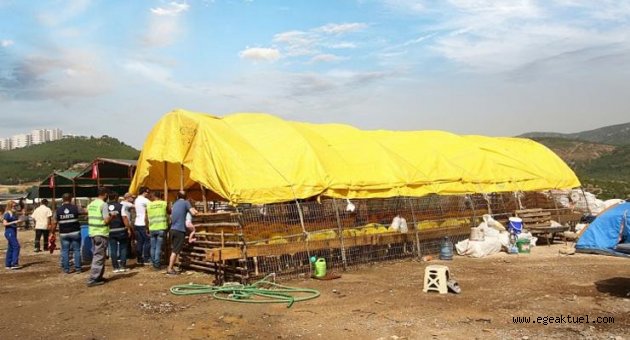 Bayraklı Kurban Satış Yeri Kurban Bayramı'na Hazır