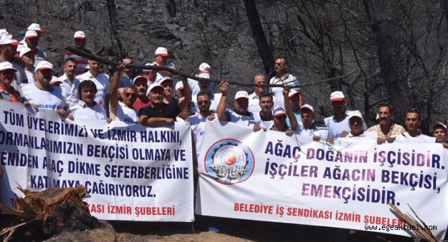 Belediye işçileri ağaçlandırma kampanyasına destek verecek