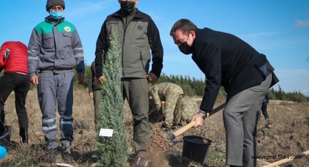 Bergama’da fidan dikim bayramı