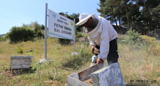 Bergama'ya can olacak!