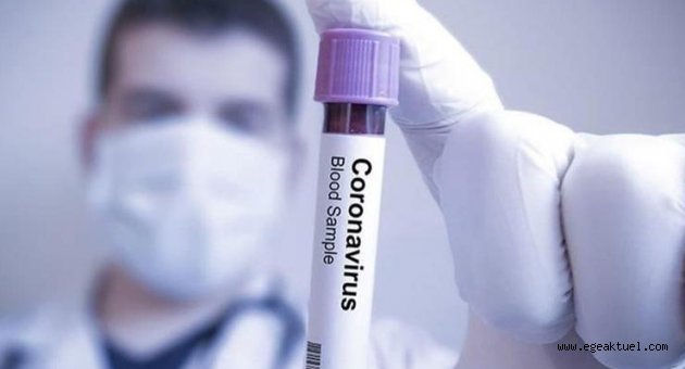 Bilim Kurulu üyeleri yanıtladı! 'Corona'da zirve ve normalleşme ne zaman?