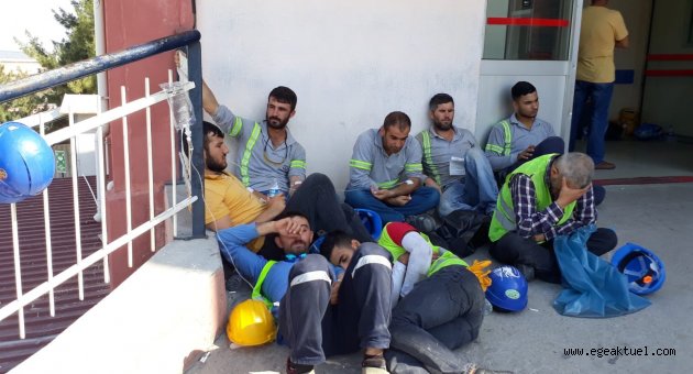 Bin 284 işçi hastanelik oldu