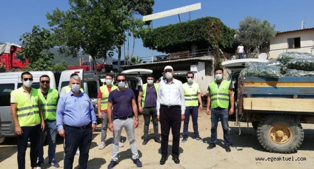 Biz Varız dayanışması sürüyor: 48 ton taze salatalık dağıtıldı