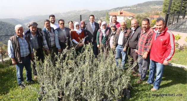 Bornova Bamyası ve Misket Üzümü tescilleniyor
