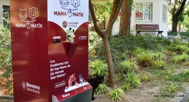Bornova Belediyesi can dostlarını unutmadı