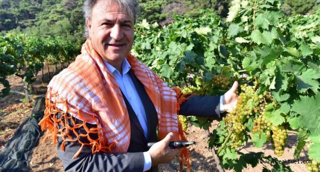 Bornova Belediyesi Yaka Mahallesi'nde Doğal Tarım Çiftliği kuruyor