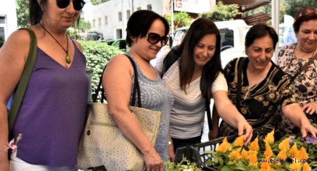 Bornova Çevre Şenliği başlıyor