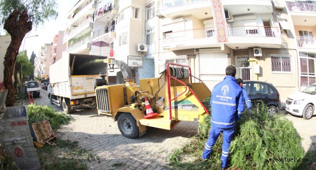 Bornova’da budama yapılan dallar geri dönüşümle tekrar kazandırılıyor