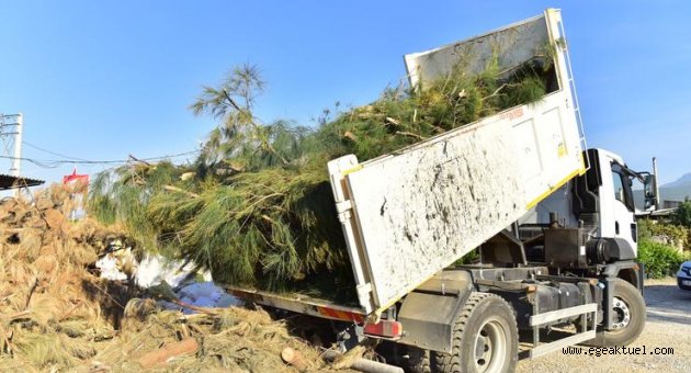 Bornova’da budama yapılan dallar geri dönüşümle tekrar kazandırılıyor