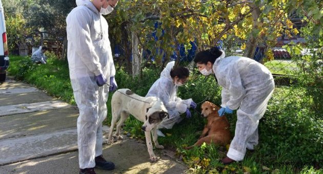 Bornova’da can dostlarına özel ilgi