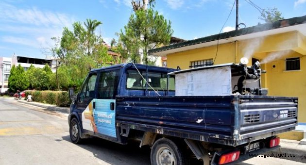 Bornova’da zararlı haşerelere geçit yok