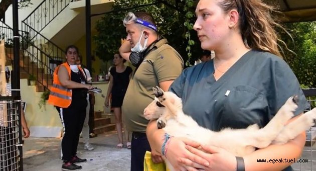 Bornova’dan Marmaris’e yardım eli