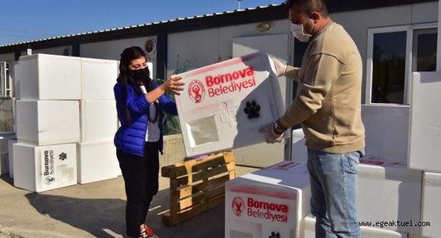 Bornova kış aylarında da can dostlarının yanında