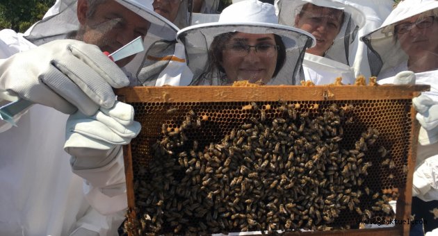 Bornovalı arıcılar ilk uygulamalarını yaptı