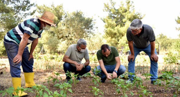Bornovalı çiftçiye yerinde destek sürüyor