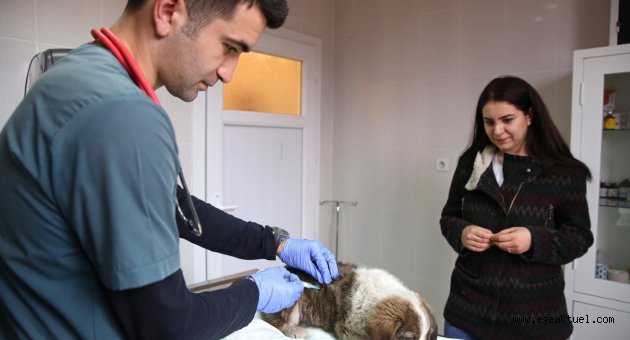 Buca 600 can dostuna kucak açtı