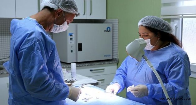 Buca Belediyesi 1 yılda 8 bin hayvana kucak açtı
