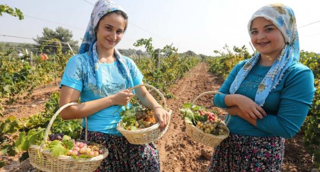 Buca Belediyesi’nden bağlara davet var!