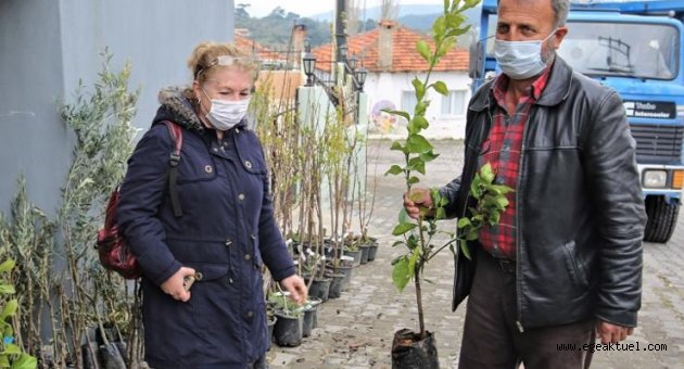 Buca Belediyesi’nden üreticiye 13 çeşit meyve fidanı