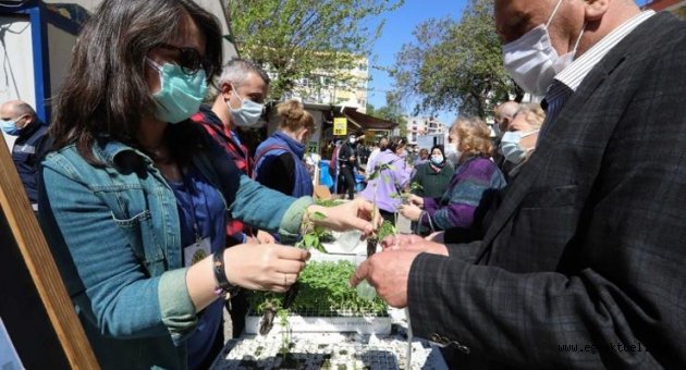 Buca’da balkon tarımı için 100 bin fide