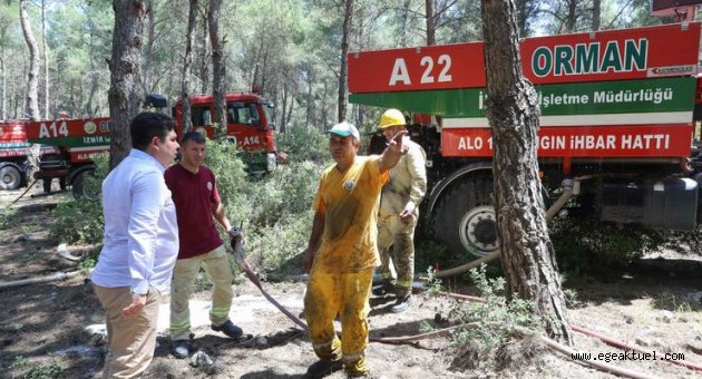 Buca halkından “orman” sahiplenmesi: Yeşil için el ele