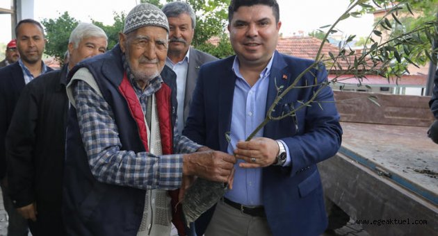 Buca köylerinde zeytin seferberliği  