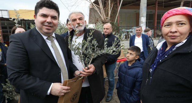 Buca’nın akciğerlerine 1800 zeytin fidanı