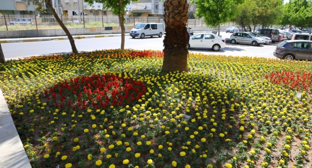 Buca’nın meydanları çiçek açtı
