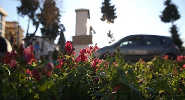 Buca’ya 100 bin çiçek