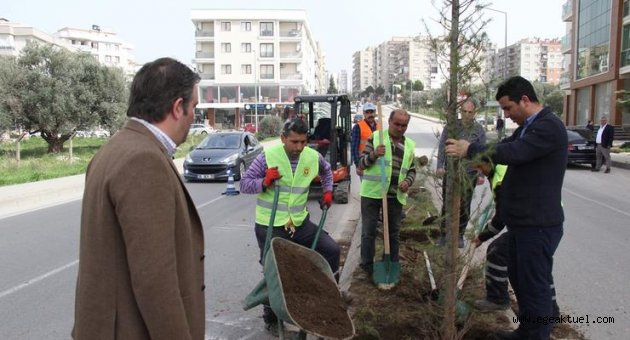 Buca’ya her gün 30 ağaç