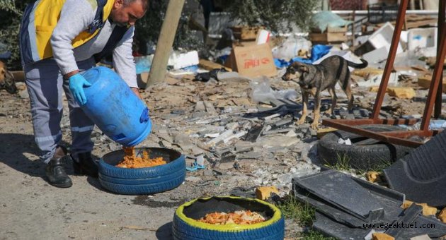 Buca'da sokak hayvanları unutulmuyor