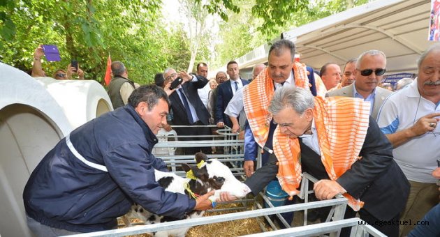 Bunun adı "İzmir mucizesi"
