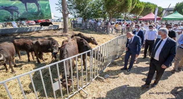 Büyükşehir Belediye Başkanı Soyer'in köylüye desteği sürüyor
