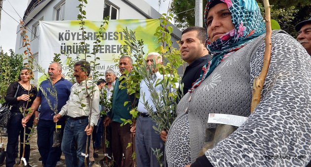 Büyükşehir’den 1.1 milyon meyve fidanı