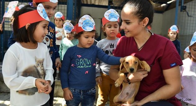 Büyükşehir’den bin 500 köpeğe rehabilitasyon merkezi