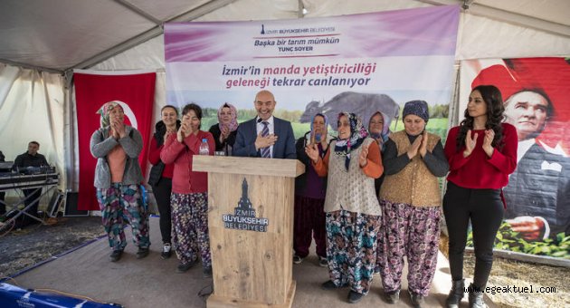 Büyükşehir’den manda yetiştiriciliğine destek