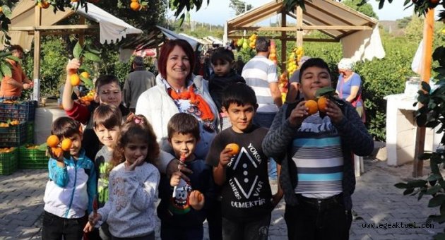 Büyükşehir sineği kovdu, mandalina değerlendi