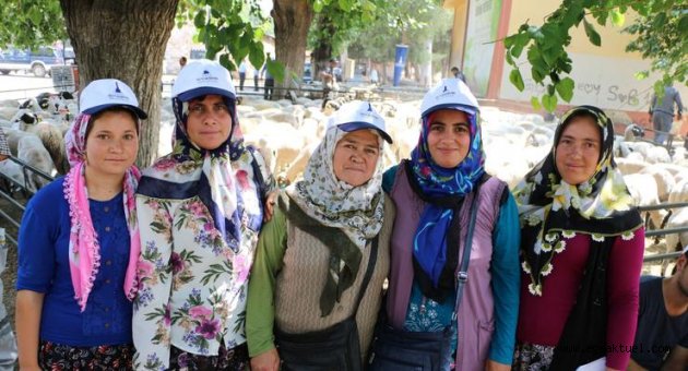 Büyükşehir Tire'de 10'u kadın 82 üreticiye 328 hayvan dağıttı