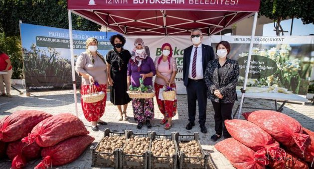 Büyükşehir üreticilere Karaburun’da nergis soğanı, Urla’da salep yumrusu dağıttı