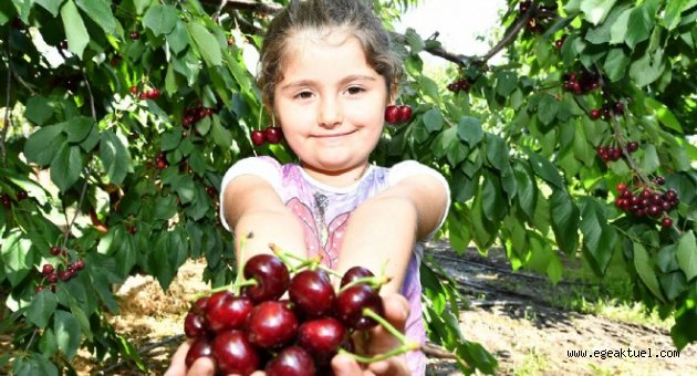Büyükşehir'in teknolojik desteği meyvelerini verdi