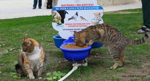 Can dostlar Bayraklı'da güvende