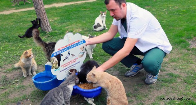 Can dostlar bu yaz da susuz kalmayacak!