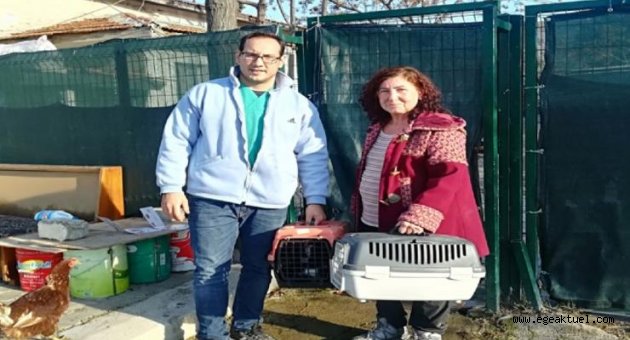 Can dostlar Foça'da emin ellerde