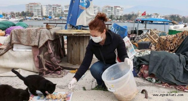 Can dostlara beslenme desteği