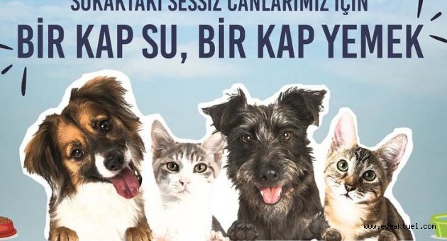 Can dostlara özel kampanya: Benim de karnım aç, ben de susadım