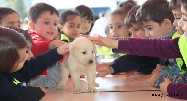 Can dostlara sağlıklı hizmet
