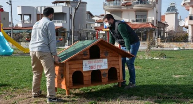 Can dostlarımızı kedi evleri ile buluşturuyoruz